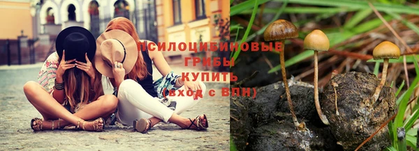 бошки Армянск